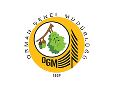 iş ortağı